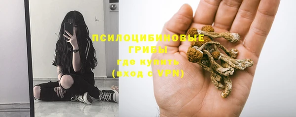 соль курить ск Алзамай