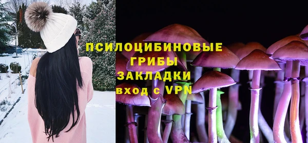 соль курить ск Алзамай