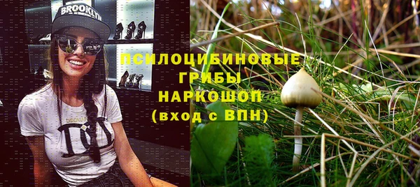 соль курить ск Алзамай