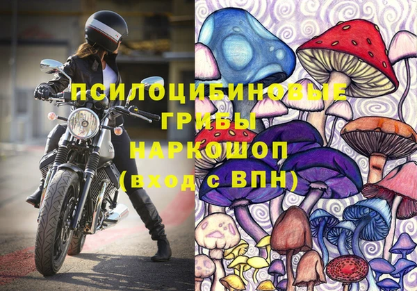 героин Алексин